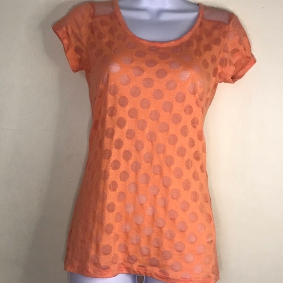 Derek Heart peach sheer polka dot top - Picture 8 of 13